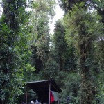 008 Campingplatz: Grillstelle, Dach, Wasseranschluss am Platz und warme Dusche - alles kostenlos!