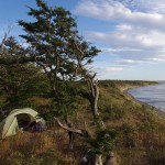 001 traumhaftes Plätchen 001 traumhaftes Plätchen