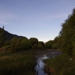 013 das Zelt ist rechts hinter den Bäumen 013 das Zelt ist rechts hinter den Bäumen