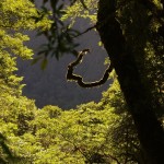 004 erste Sonnenstrahlen erzeugen tolle Effekte 004 erste Sonnenstrahlen erzeugen tolle Effekte