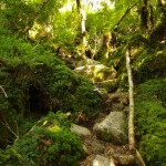 005 es geht steil bergauf 005 es geht steil bergauf