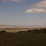 005 Blick in die argentinische Pampa