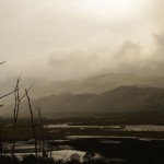 009 das Wetter immer noch durchwachsen