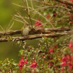 002 endlich hab ich die Kerlchen im Kasten