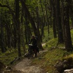 009 Scott bei der Arbeit