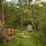 001 gut geschützt im Wald nächtigt sichs am besten 001 gut geschützt im Wald nächtigt sichs am besten
