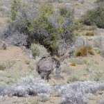 015 etwas aus der Puste