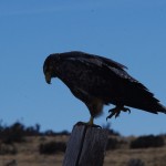 001 ich komme nahe heran