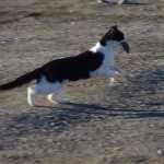 004 die geb ich nicht mehr her!