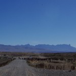 001 Ein Gaucho mit einer Kuhherde