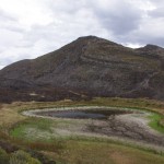 004 grüne Oasen wurden verschont