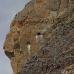 008 hier brüten die grossen Vögel wohl manchmal