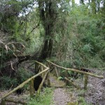 015 die Brücke ist wohl schon älter - das Holz aber tragfähig! 015 die Brücke ist wohl schon älter - das Holz aber tragfähig!