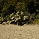 006 Nalca - schützt vor Sonne und Regen! 006 Nalca - schützt vor Sonne und Regen!