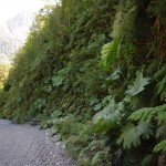 007 Mein Fahrrad sieht aus wie Spielzeug 007 Mein Fahrrad sieht aus wie Spielzeug