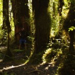 009 werde ich immer kleiner? 009 werde ich immer kleiner?