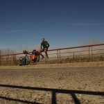002 unter der Brücke viele tote Bäume - vernichtet durch Waldbrand oder Vulkanausbruch