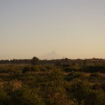 001- In der Ferne der perfekte Kegel des Vulkan Osorno