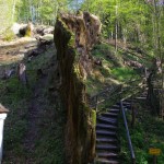 Johannisfelsen Usterling