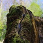 Johannisfelsen Usterling2